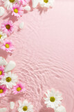 Fototapeta Mapy - Spring's serene palette: tranquil flowers afloat. Top view vertical shot of white and pink chrysanthemums and white stones on gentle aqua water pink background with space for promo or personal message