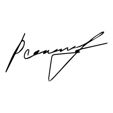 Autograph fictitious, handwritten fake signature. Isolated doodle on white background, vector illustration
