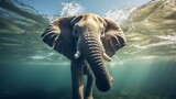 Fototapeta  - Swimming Elephant Underwater. African elephant in ocean with sunrays and ripples at water surface