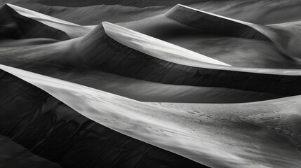 Poster - A captivating monochromatic capture of abstract dunes, adorned with delicate plants, evoking a sense of timeless beauty and artistic grace