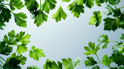 Poster - A verdant canopy of emerald foliage dancing in the gentle breeze, beckoning us to embrace the beauty and vitality of nature's abundant greenery