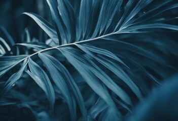 Wall Mural - Collection of tropical leaves foliage plant in blue color with space background
