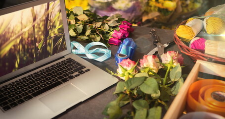 Poster - Image of grass on laptop screen on desk