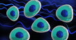 Image of micro of blue and turquoise cells on blue light trails background