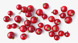 Red Currant PNG Cranberries (Vaccinium oxycoccus) Fruit