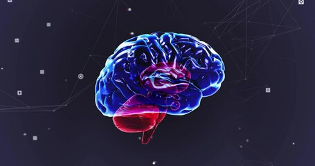 Poster - Animation of spinning brain over shapes