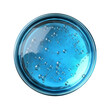 © Imran - blue petri dish with liquid  on transparent background, PNG