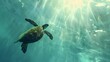 Green Sea Turtle Cruising in the warm waters of the Pacific Ocean