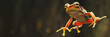 Frog leaping with copy space for leap year concept