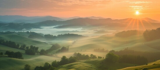 Poster - Panoramic view of a lush green valley with rolling hills and dense forest trees under a clear blue sky