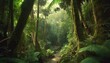 インドネシアの熱帯雨林地帯