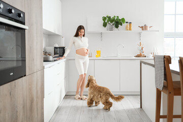 Poster - Young pregnant woman with cocker spaniel in kitchen