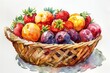 Watercolor painting showcasing a basket filled with vibrant summer fruits like strawberries and plums, emphasizing freshness and flavor.