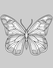 Poster - butterfly illustration on white background