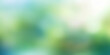 green blur background, blur Spring background, green bokeh defocused, banner poster design