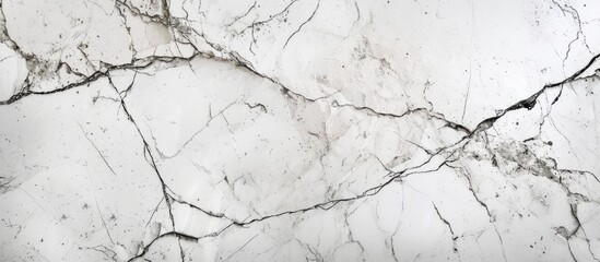 Poster - Elegant White Marble Wall with Striking Black Veins, Luxurious Interior Design Element