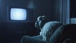 Sheep watching television at night. Concept image of a sheep sitting on a couch, fixated on a glowing TV screen in a dark room, symbolizing media influence and consumption.