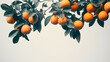 tree branch with oranges and green leaves.