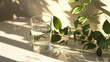 Sunlight shines on a glass of water alongside.