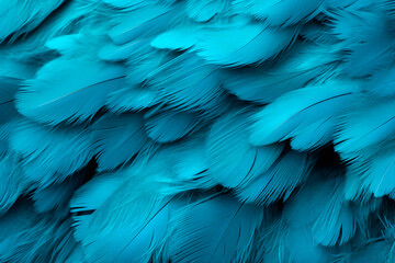  Blue feathers close-up, background, pattern
