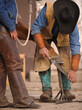 © Shawn Hamilton CLiX  - close up of horse farrier or equine blacksmith rasping a horse foot using rasp during hoof maintenance trim blacksmith wearing turquoise cowboy boots and leather chinks vertical image room for type