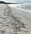 footprints in the sand on the shore of the Baltic Sea