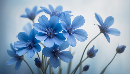  A bunch of blue flowers set against a soft textured background in varying shades of blue and the play of light and shadow creates an abstract design imbuing the image with a sense of mystery and calmn