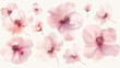 © Anastasiia Ignateva - Delicate pink cherry blossoms in a serene composition, ideal for spring events.