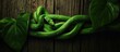 green snake on a log