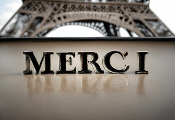 Wall Mural - The french word 