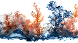 There is a watercolor painting of corals and seaweed on a white background, Blur smoke on white background stock photo, Dead sea anemone 