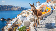 Greek Donkey Against Santorini Landscape, Traditional Setting