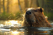 beaver emerged from the water