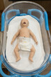 Infant dummy for nurse or doctor student study in university.Baby mannequins for learning for new parents in the mother and child department.