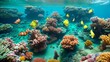 Unterwasserwelt der Fische und Korallen 2.