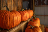 Fototapeta Krajobraz - Autumn is Halloween and pumpkin season