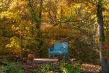 Fototapeta Krajobraz - photo of a blue chair in the middle of the forest during the autumn, with an orange pumpkin and sun rays, green, blue, yellow and orange colours, beautiful nature