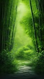Fototapeta Dziecięca - Chinese Bamboo Forest UltraHigh Resolution PPT Background
