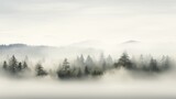Fototapeta Londyn - a forest filled with lots of trees on top of a foggy forest filled with lots of trees on top of a hill.