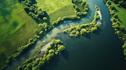 Poster - Scenic view of a river flowing through a vibrant green field. Ideal for nature and landscape concepts