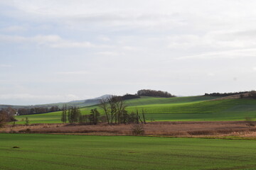 Wall Mural - winter green EIfel landscape