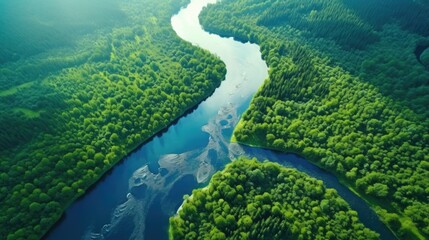 Aufkleber - Serene river flowing through a vibrant green forest. Suitable for nature and travel concepts