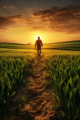 Aufkleber - A man walking towards the sun in a wheat field. Suitable for nature and inspirational themes