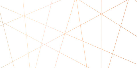 Abstract orange diagonal lines and luxury elegant pattern background .random chaotic line and creative geometric shape background .modern technology  premium line on transparent background .