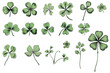 Various illustrations of clovers and shamrocks with different shapes and sizes