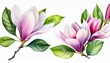 magnolia flowers set watercolor flower painting gentle floral bouquet for wedding invitation design floral birthday card