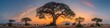 Panoramic Sunset View Over African Savanna with Iconic Baobab Trees