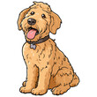 © MR Crafts - Cute Golden Doodle Dog. Dog portrait, Vector illustration