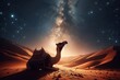 camel in the desert against the backdrop of the starry night sky.