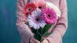 © sundas - women holding bouquet of 3 gerbera flowers in pink, purple and white color with dark blue blur background